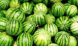 吃药吃瓜了的视频真实,揭秘网络热梗背后的真实故事