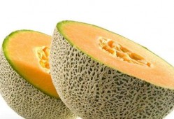 正畸人吃哈密瓜好吗视频,美味与健康的完美结合