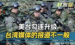 吃瓜台湾军官视频大全下载,趣味横生的军营生活瞬间