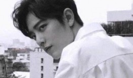 陈情令大型吃瓜现场视频