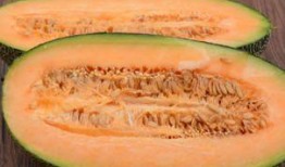 乡下人吃哈密瓜视频,揭秘乡下人吃哈密瓜的独特风情