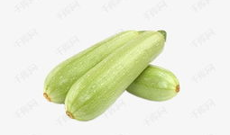 主播吃小瓜蜜瓜视频下载,视频下载见证甜蜜瞬间