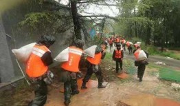 曲阜五泉庄吃瓜事件视频,一场引发热议的网络视频风波