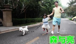 遛狗吃瓜现场视频大全,趣味瞬间大盘点