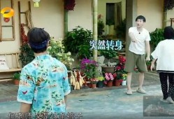 鹤川吃瓜群众事件真相视频,揭秘真相背后的惊人内幕