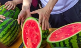 各个学校吃瓜视频,揭秘各大院校吃瓜视频背后的故事