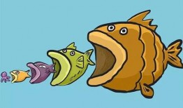 美猴王跑路吃瓜视频,揭秘网络热传视频背后的真相