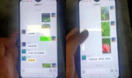 自由吃瓜微信视频软件,揭秘热门视频软件背后的精彩故事