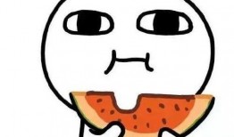 吃瓜讽刺网友的动画视频,揭秘网络讽刺动画背后的真相