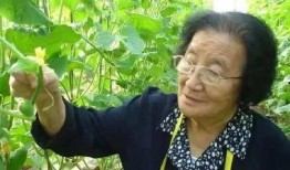 城中人吃瓜套路视频大全,揭秘热门视频背后的趣味与真相