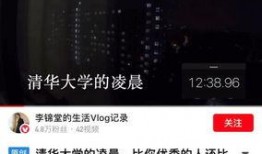 在线吃瓜vlog视频,在线吃瓜vlog背后的故事与魅力