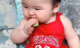 女儿小棉袄吃瓜视频,揭秘娱乐圈幕后故事