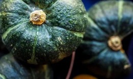 真实的吃瓜视频,一场视觉与味蕾的双重盛宴