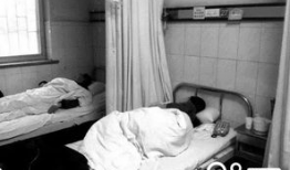 山东吃瓜中毒视频播放大全