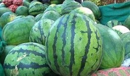 癞葡萄瓜好吃吗怎么吃视频,视频教你如何品尝佳肴