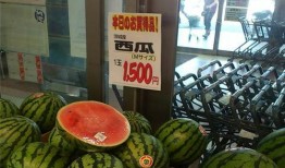 外国人吃金丝角瓜视频,趣味横生体验本土美食