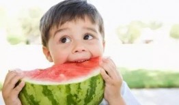 萌娃吃板栗瓜视频大全,板栗瓜视频大全集锦