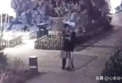 青州疫情吃瓜事件视频播放,视频播放背后的真相与反思