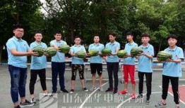 分宜吃瓜大赛视频,一场欢乐盛夏的味蕾狂欢