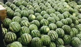 昆明高校吃瓜视频,揭秘校园生活趣味瞬间