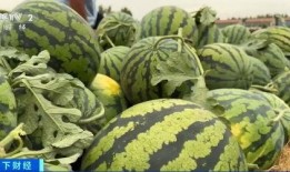 湖北荆州吃瓜事件视频,一场网络热议的街头冲突瞬间