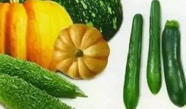 wyb吃瓜视频,揭秘娱乐圈幕后故事