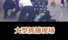 吃瓜群众抓捕视频,吃瓜群众抓捕现场直击