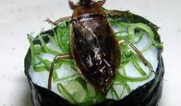 白瓜被虫吃怎么办视频大全,视频大全解析