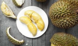 吃蜜瓜榴莲视频,一场味蕾的奇幻之旅