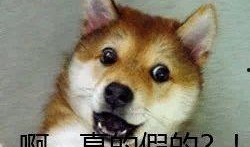 吃瓜被骗段子视频大全,笑料百出被骗段子大盘点