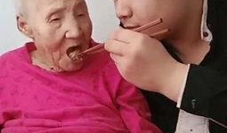 呆瓜父子吃鸭子视频大全,趣味视频大盘点