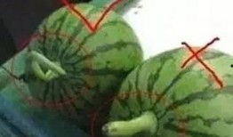 汾阳吃瓜事件视频下载,视频曝光背后的网络热议与真相探寻