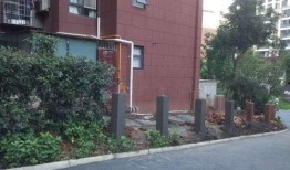 吃瓜翰林府免费视频,免费视频背后的吃瓜盛宴