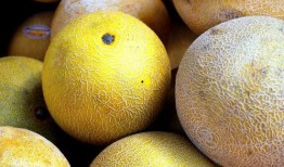 哈密瓜怎样吃才更甜视频,解锁美味甜食的烹饪技巧