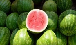 西瓜吃瓜视频大全播放网站,海量搞笑、趣味内容，轻松畅享欢乐时光