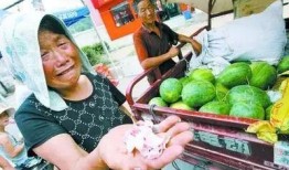 老菲儿爷爷吃西马拉瓜视频,老菲儿爷爷的西马拉瓜美食之旅