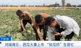 湖北荆州吃瓜事件视频,一场网络热议的街头冲突瞬间