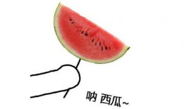 各大主播吃瓜树叶视频大全,趣味视频大盘点