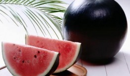 日本人吃石头瓜视频,石头瓜的神秘魅力