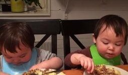 小孩吃挂藤瓜视频播放,视频播放引网友热议