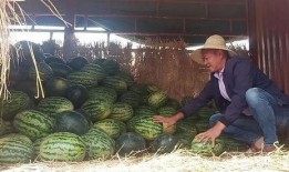 群众吃瓜哭的视频,群众吃瓜哭成泪人，背后故事引人深思