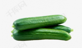 主播吃小瓜蜜瓜视频下载,视频下载见证甜蜜瞬间