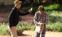 情侣路人吃瓜拍照视频,情侣路人吃瓜拍照，甜蜜画面引网友热议