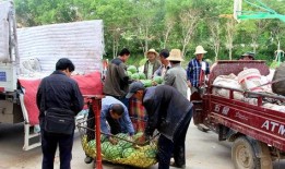 石佛寺镇吃瓜事件视频最新,揭秘背后真相与网络热议