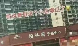 翰林府吃瓜视频在线,揭秘宫廷秘闻，带你领略皇家盛宴