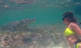 新疆美女水下吃瓜视频