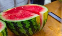 各个学校吃瓜视频,揭秘各大院校吃瓜视频背后的故事