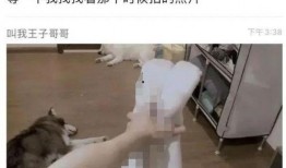 林清平视频吃瓜抖音,揭秘网红美食背后的故事