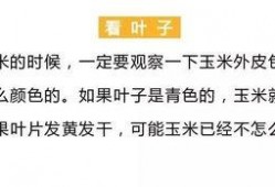 吃瓜朋友圈视频文案短句,短句背后的故事与情感