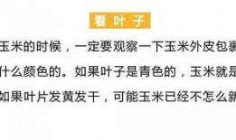 吃瓜朋友圈视频文案短句,短句背后的故事与情感